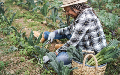 Black women legislators leading in agriculture policy