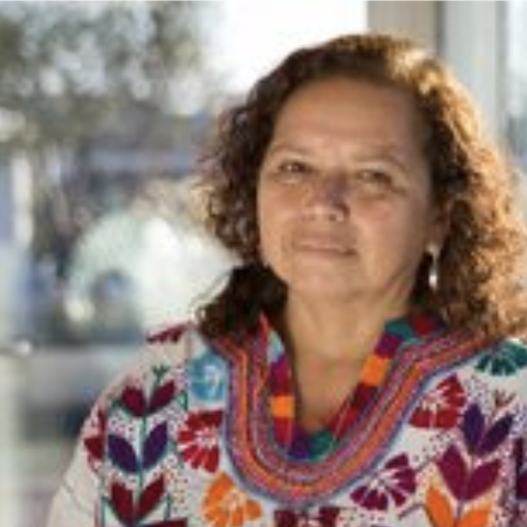 M Herrera HS e1761941450500